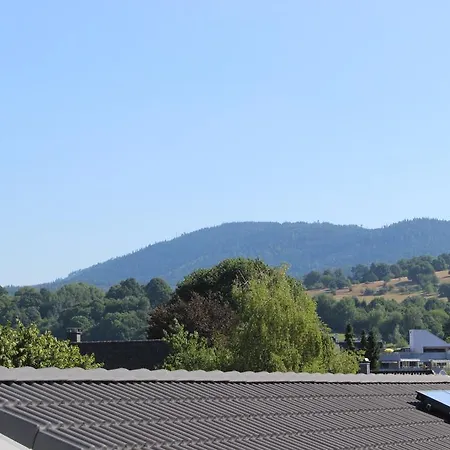 Schamne Apartment Gernsbach